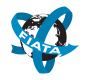 fiata1